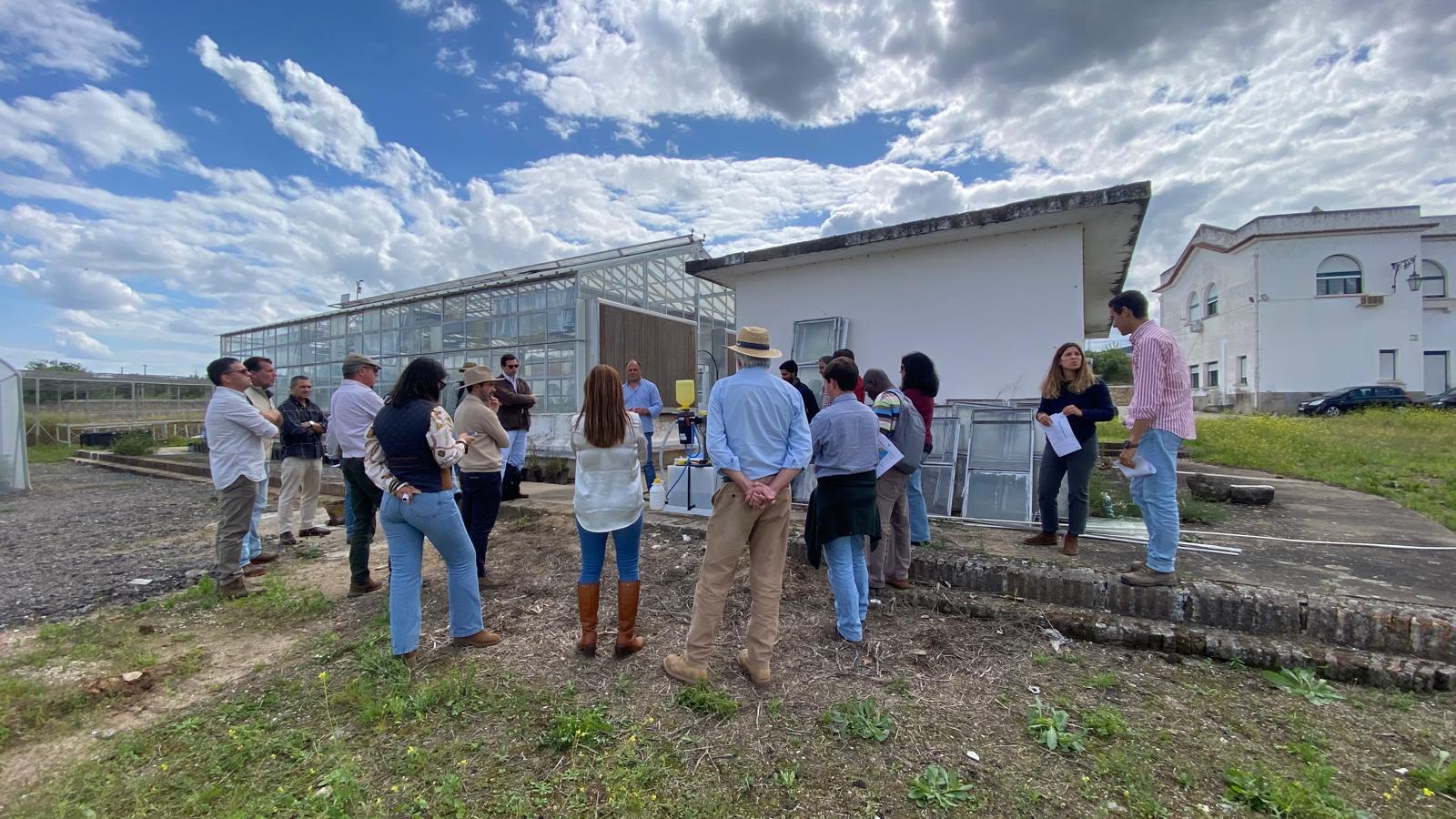 formação técnica sistema easyconnect syngenta
